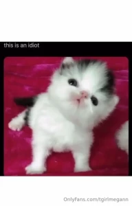 Fav memes part 15