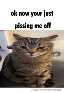 Fav memes part 20
