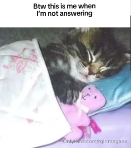 Fav memes part 4