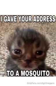 Fav memes part 3