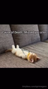 Fav memes part 6
