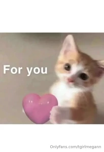 Fav memes part 8