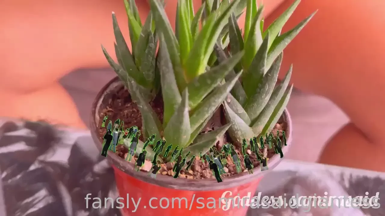 Worhip your goddess now giantessfetish goddess sexygiantess 