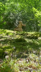 Find me in the forest next to the waterfalls at the mountains edge