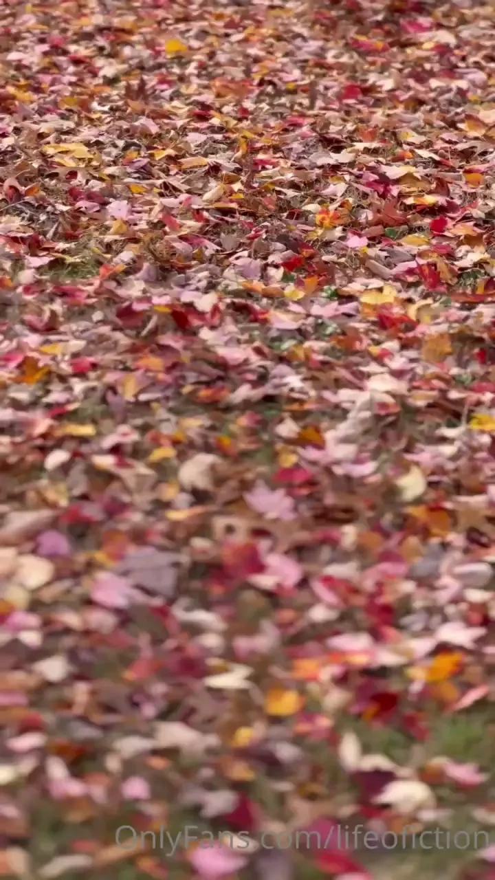 All of my leaves have been shaken off by the crassness of your heart 