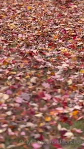 All of my leaves have been shaken off by the crassness of your heart