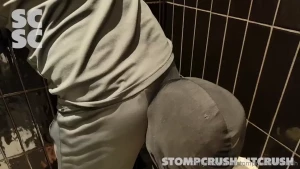 New - master dane - bullying fast becoming one of our faves dane knows