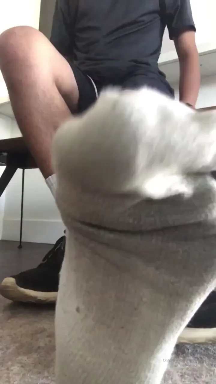 Let me know if you want to see more stuff like this good ol verbal 