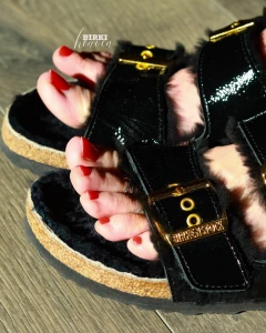 Black beauties so soft and warm and are they somehow noble right ---