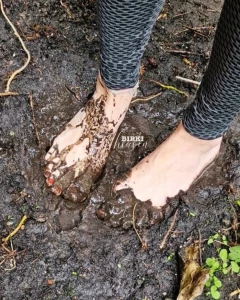 I call it grounding or mud cure for the feet it was actually a part 1