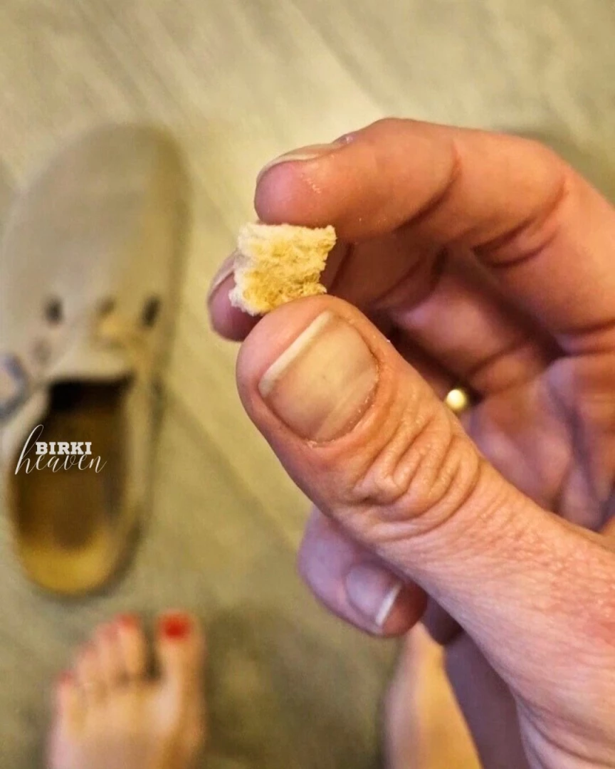 A little crumb in my bostons he was still fluffy later you can see how 