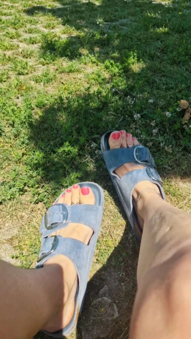 Football soccer fans which club are you from i am completely neutral 