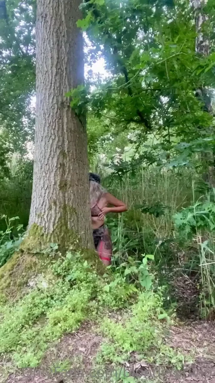 Fancy a game of hide and seek i ll hide first 