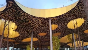 Hello now i have a super good weekend this sunday i was at the house