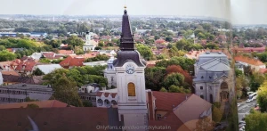 Art nouveau photo album style decorations the jewel of the golden age part 8