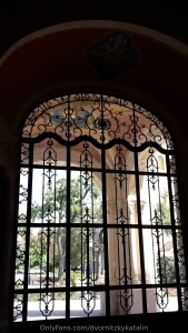 Art nouveau photo album style decorations the jewel of the golden age part 2