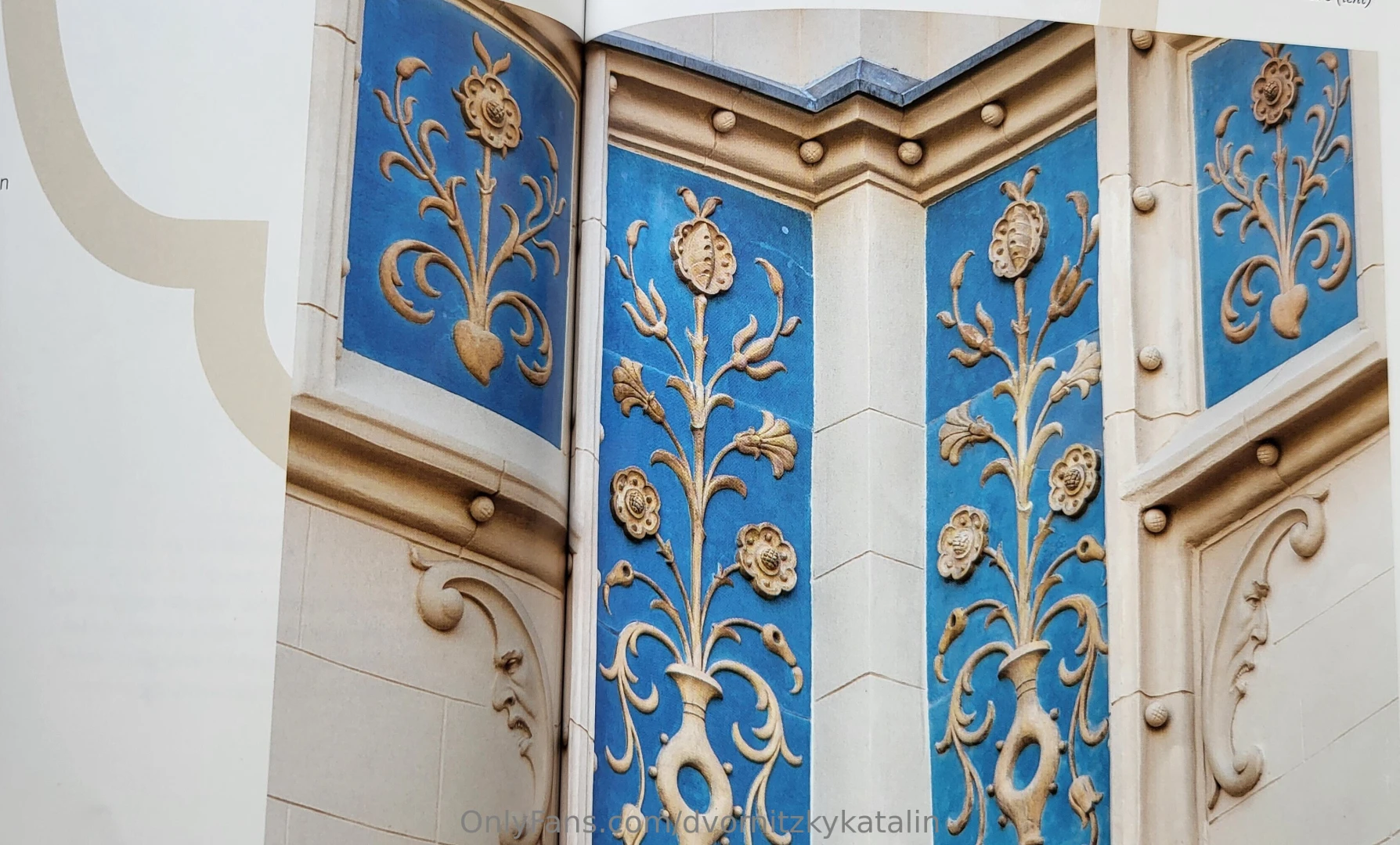 Art nouveau photo album style decorations the jewel of the golden age part 7 