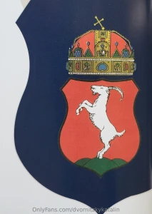 Art nouveau photo album style decorations the jewel of the golden age part 10