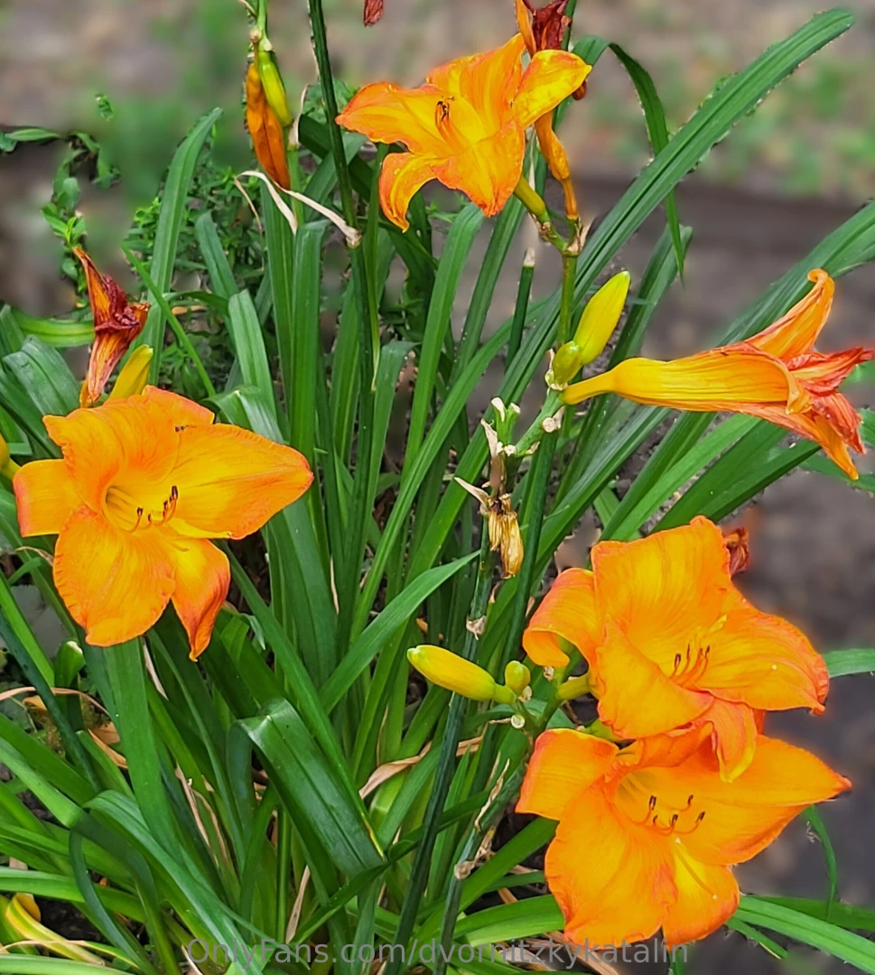 My exotic vacation in budapest it was amazing 