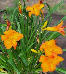 My exotic vacation in budapest it was amazing