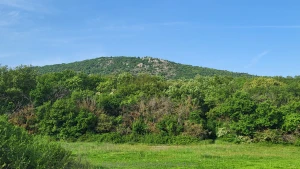 Szia kedves tavasz s naps t s vid ms g mosolyogj te is sokat s part 1