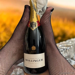 Wish i had more of this