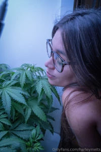 Just a girl and her favorite flower part 2