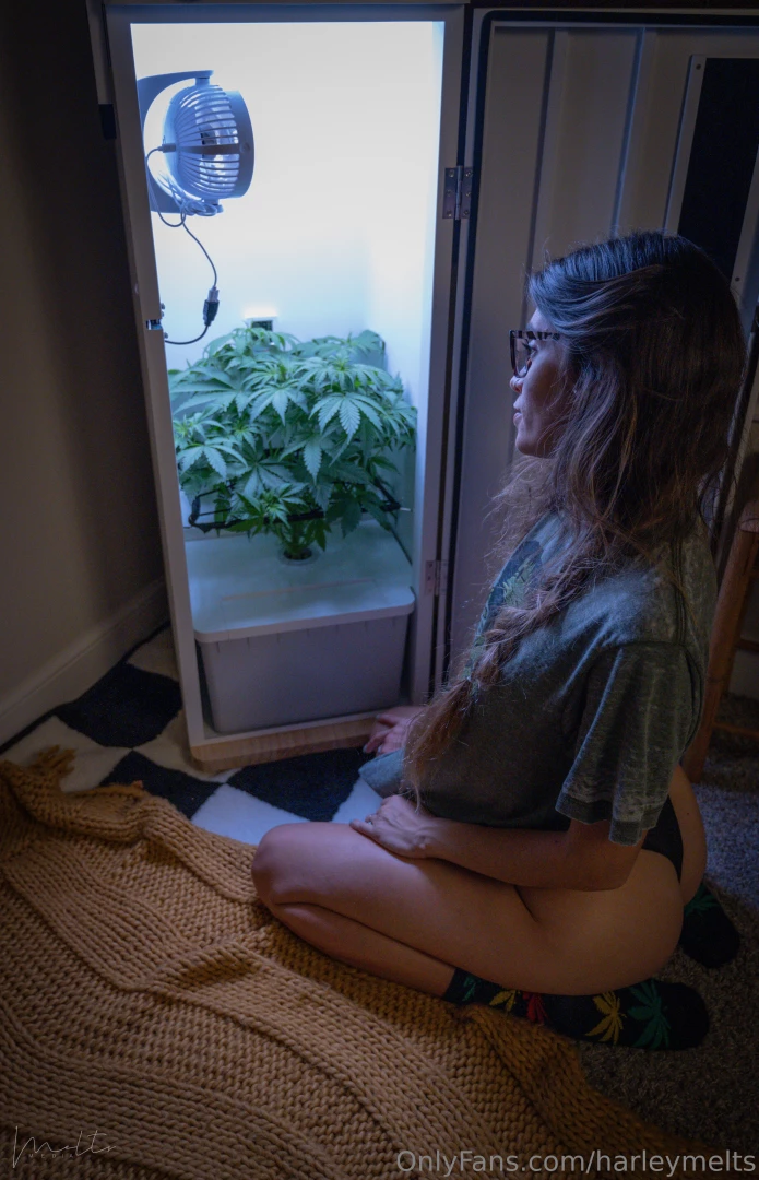 Find someone who looks at you like i look at my plants 