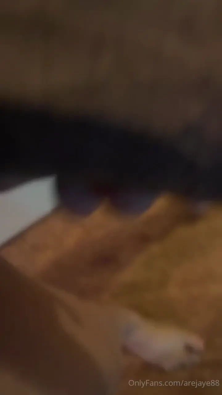 How the comments in the live got me wanna run it back real quick swipe part 2 