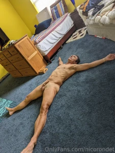 Do you know the detailed story behind leonardo davinci s vitruvian man