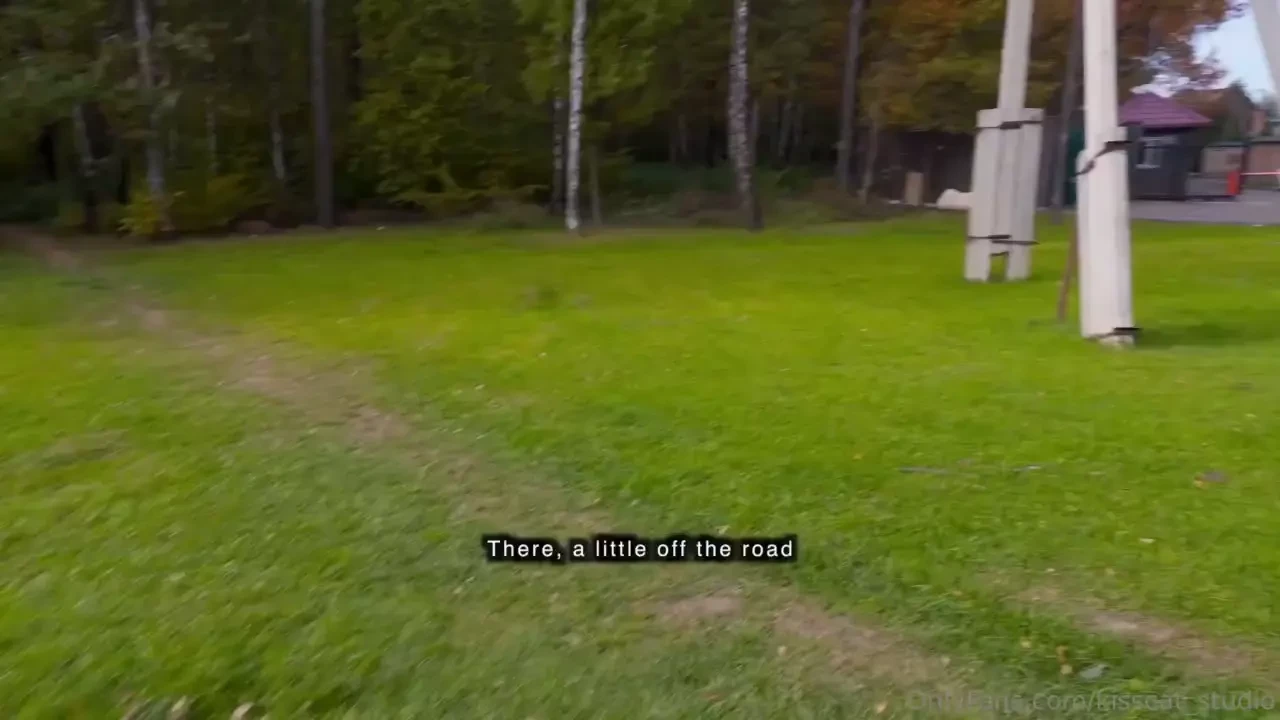 Amp the public agent offered me a social survey and then offered 100 