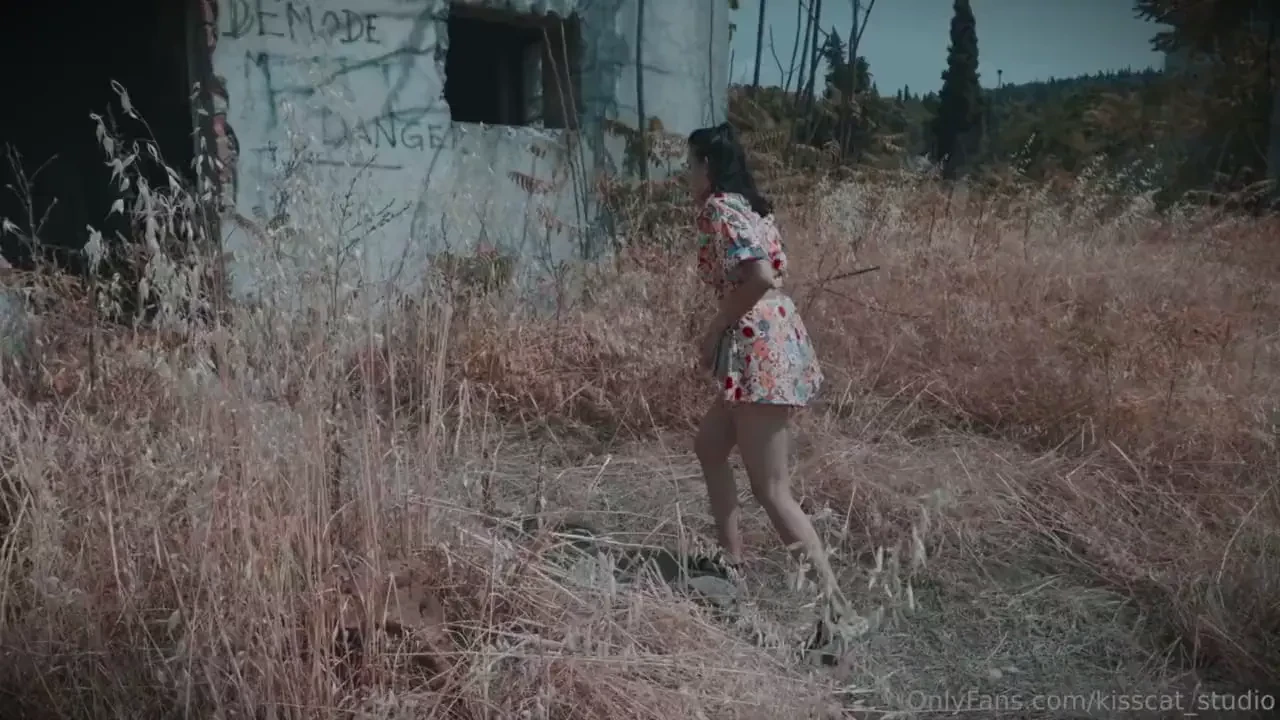 I heard voices in my head and he ordered me to come i didn t mind what 