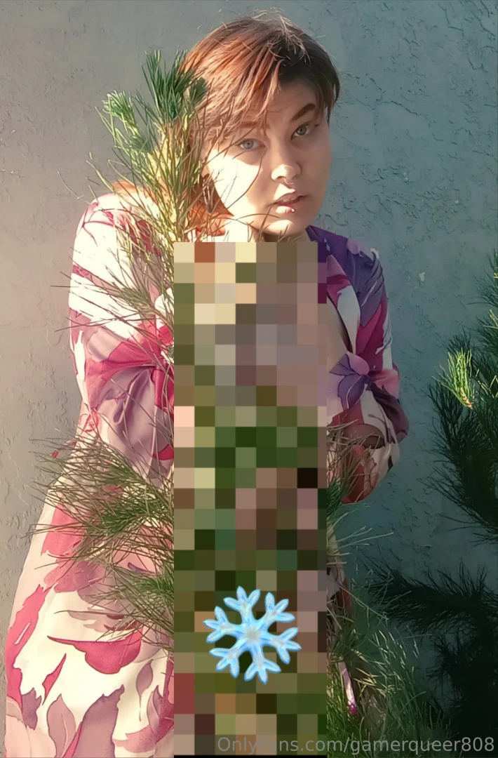 Morning pet open your present before your family wakes up pine tree 