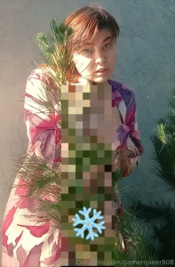 Morning pet open your present before your family wakes up pine tree