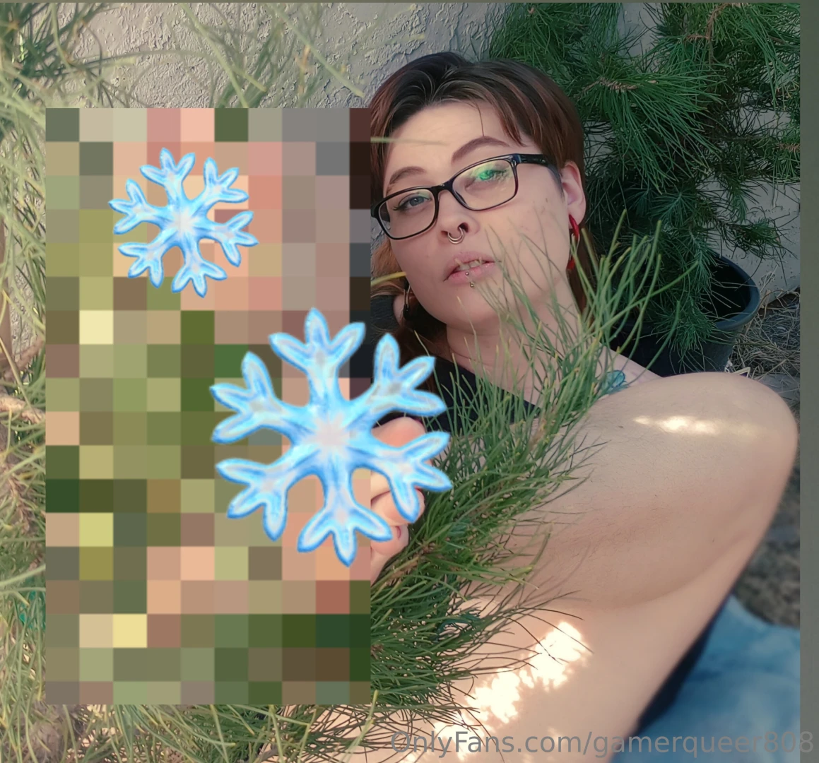 Good evening pet open your present after everyone is asleep pine tree 