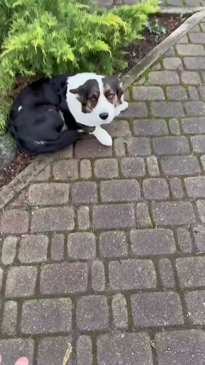 Good morning to all my modest cholesterol fans who don t send me money 