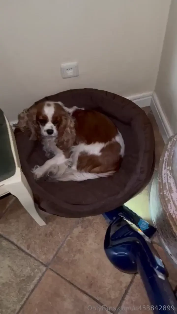 So stupid it doesn t know it exists 