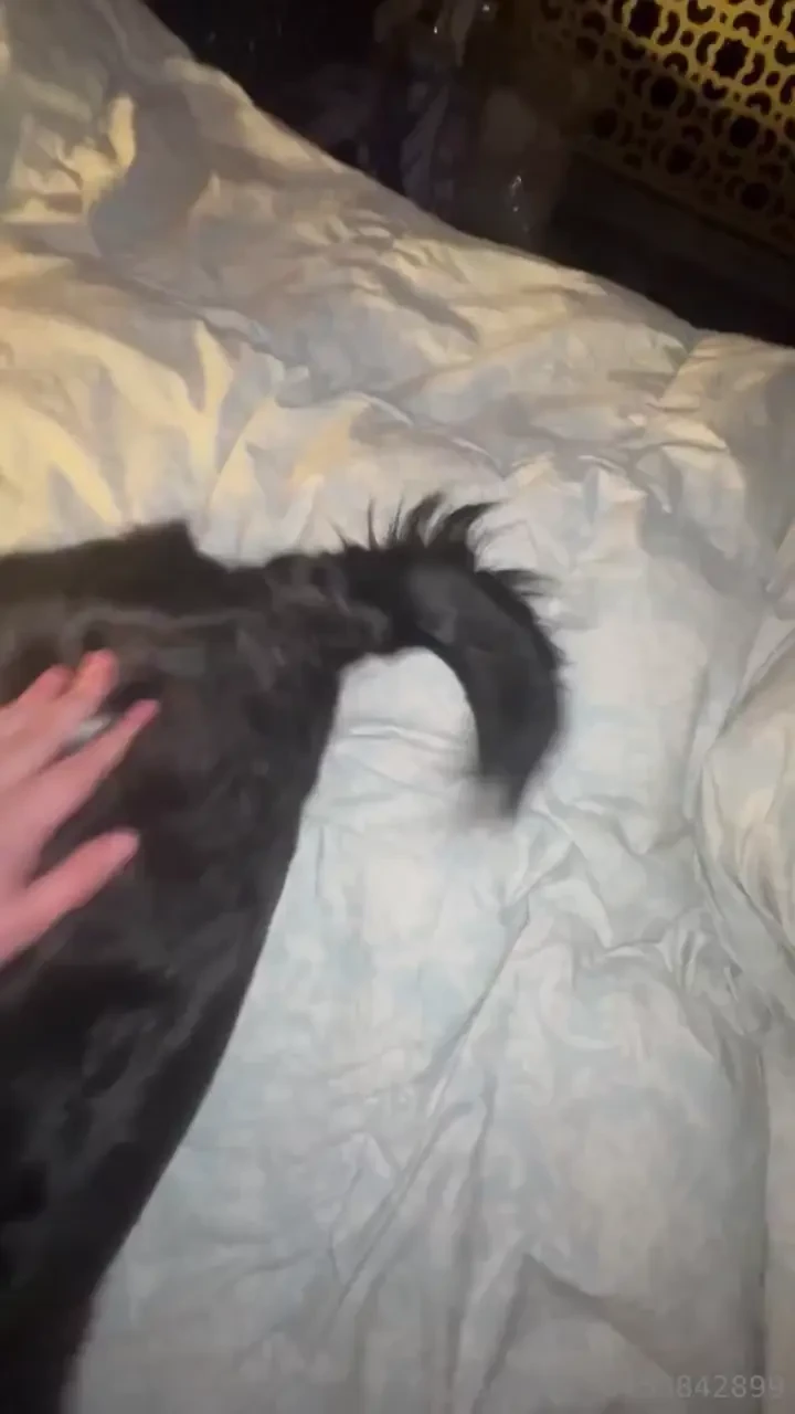 Watch as i play with my best friend s amazing ass and tits 