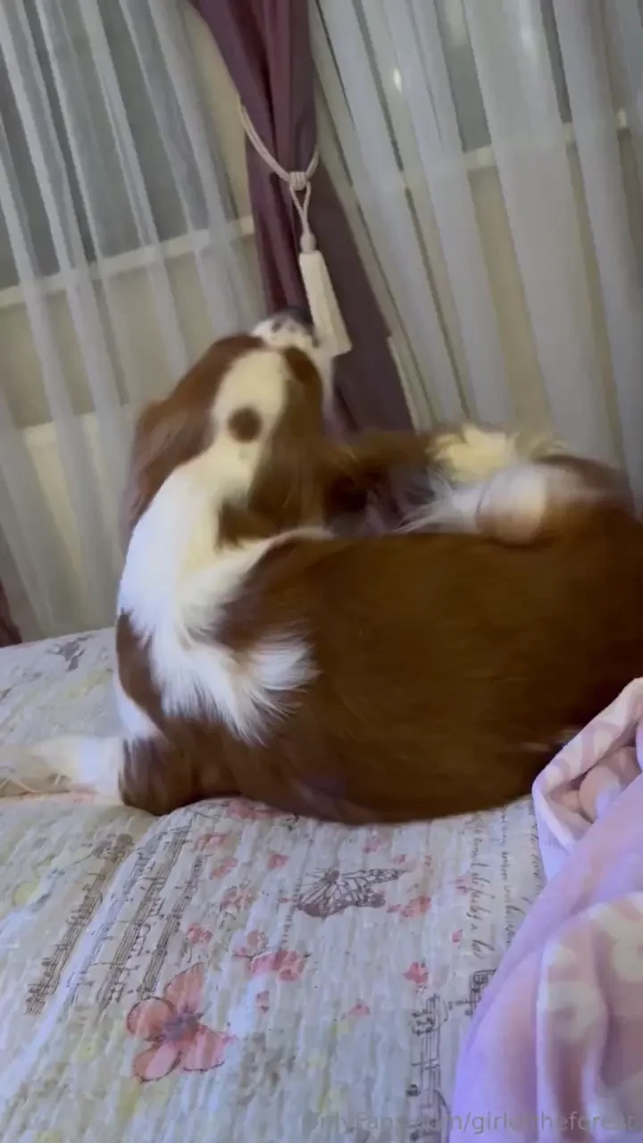 My morning started off wonderfully i was warm and cozy in bed with two part 1 