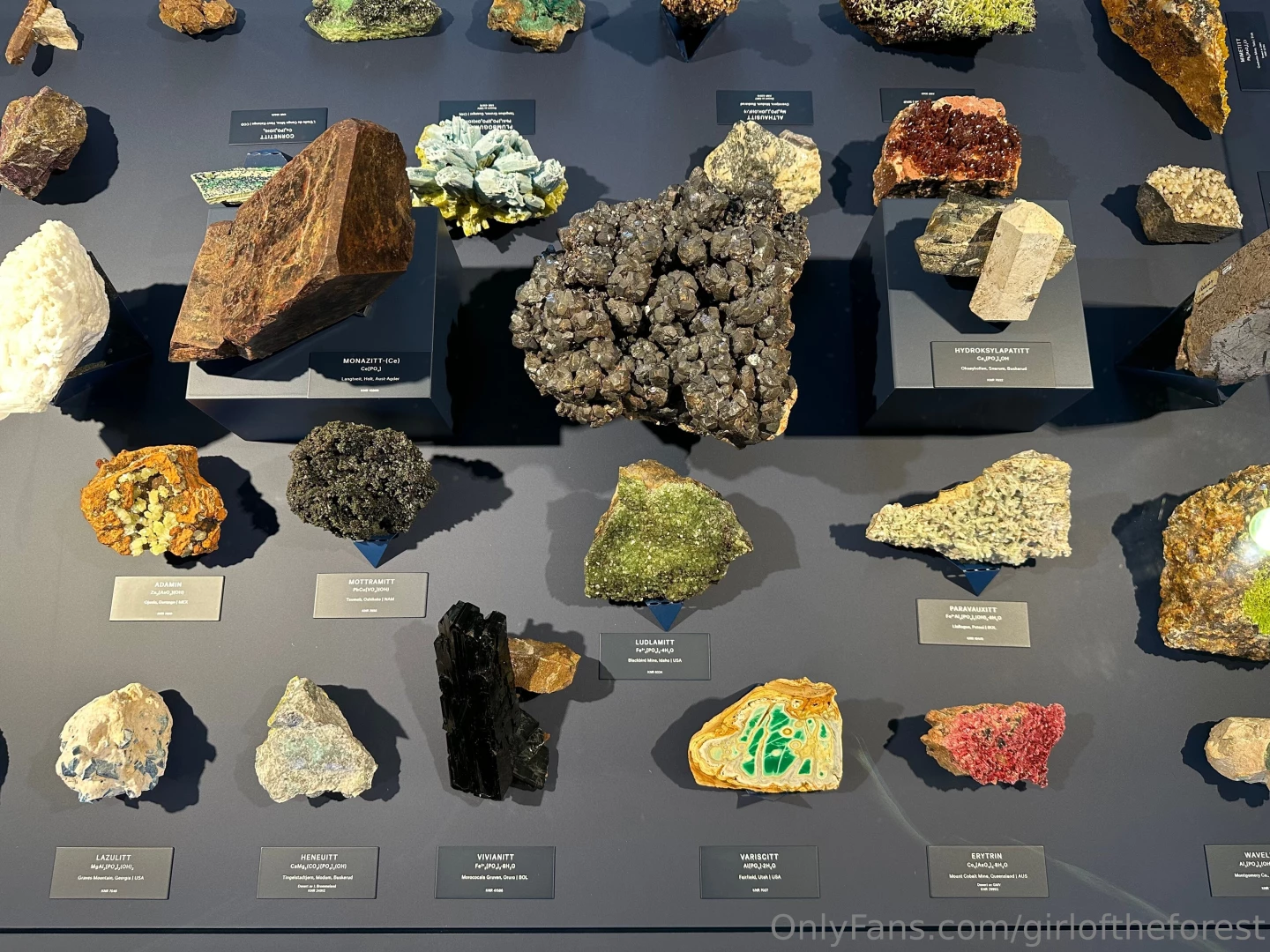 Well well my whores did ya miss me don t bother answering i already part 5 