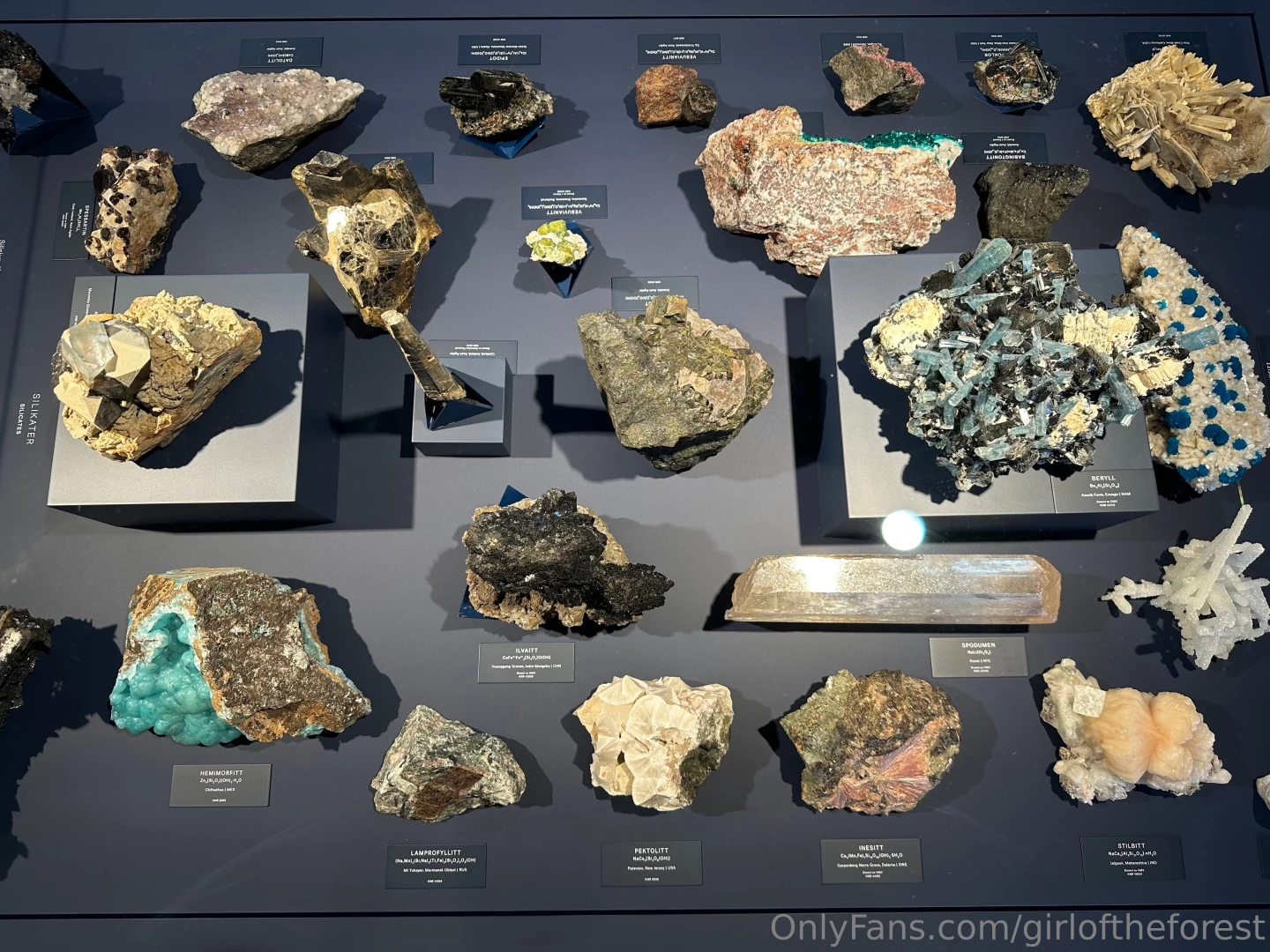 Well well my whores did ya miss me don t bother answering i already 