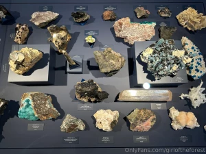 Well well my whores did ya miss me don t bother answering i already