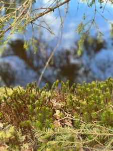 Damn guys i keep meaning to make a naughty paid post but i never get part 5