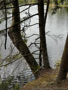 Damn guys i keep meaning to make a naughty paid post but i never get part 2