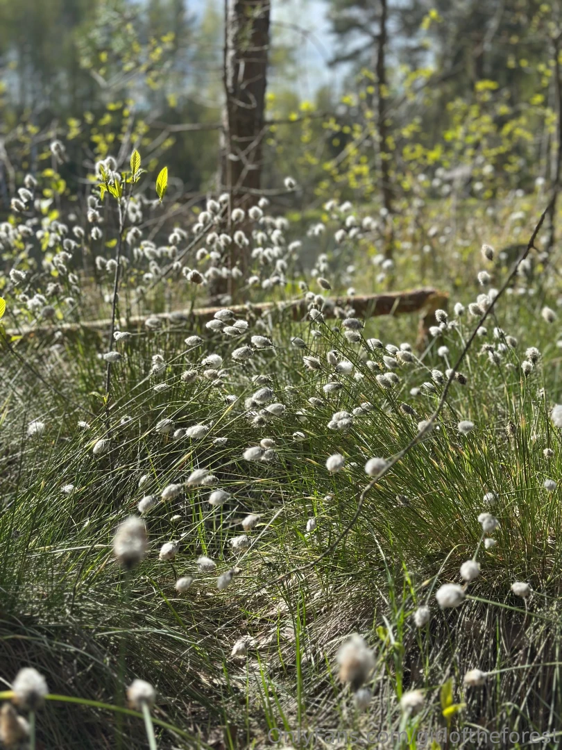 Damn guys i keep meaning to make a naughty paid post but i never get 