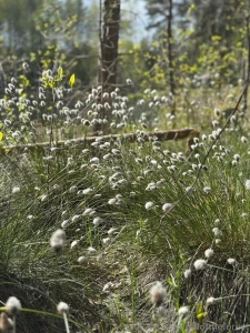 Damn guys i keep meaning to make a naughty paid post but i never get