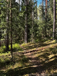 Damn guys i keep meaning to make a naughty paid post but i never get part 3