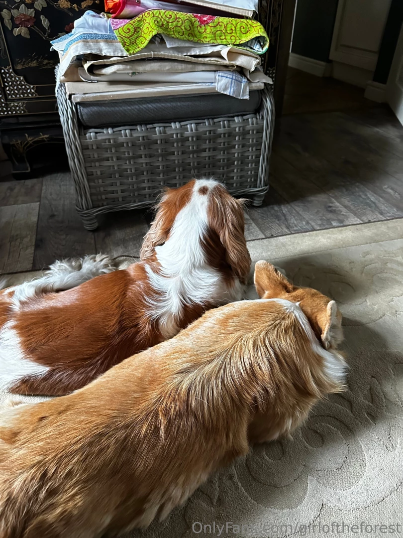 Lately i ve started losing weight quickly maybe because somehow part 2 