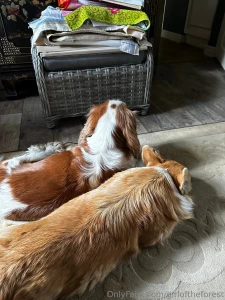 Lately i ve started losing weight quickly maybe because somehow part 2