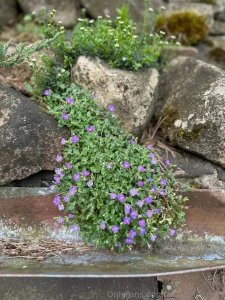 Today dasha and i worked a lot she worked and i walked around and part 3